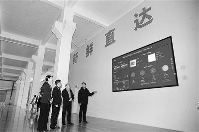 因地制宜 精准施策