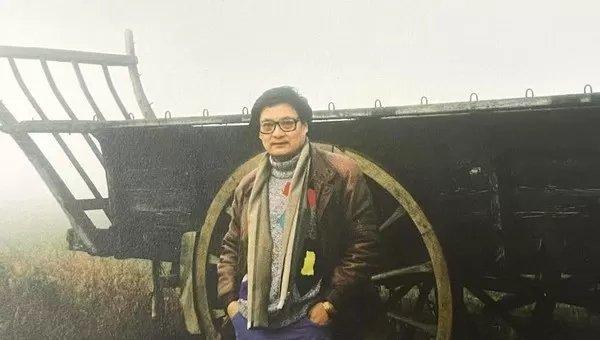 从历史风云到经典文献——郭怡孮系列学术文献述评