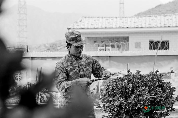 春天的英阿特边防连,战士用心呵护树苗。