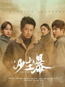 图为电视剧《沙尘暴》海报。