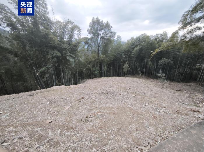 △已整改地撂荒现状