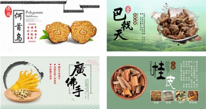 △德庆县获得中国贡柑之乡、中国何首乌名县、中国巴戟天名县、中国肉桂名县等荣誉称号。图源 德庆县融媒体中心