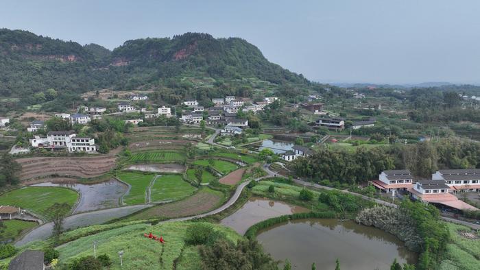 宜宾的安石村乡村书局,以青山梯田为背景。宜宾观察 罗顺 摄
