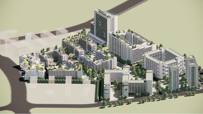 (图:“The Reproduction of Longnan Garden Social Housing Estate”)