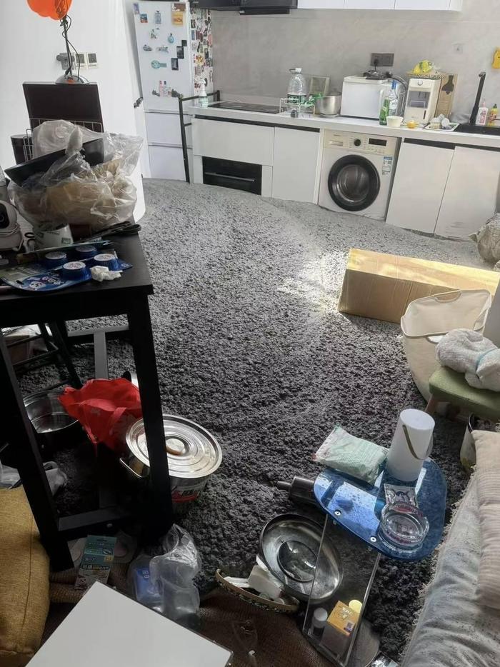 天了噜！一觉醒来客厅被水泥淹了 当事人：邻居家装修漏进来的，正在协商处理_手机新浪网