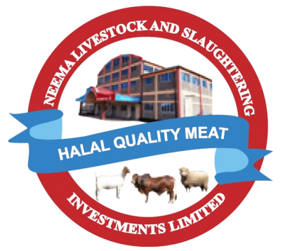 塔图工业园SEZ考察