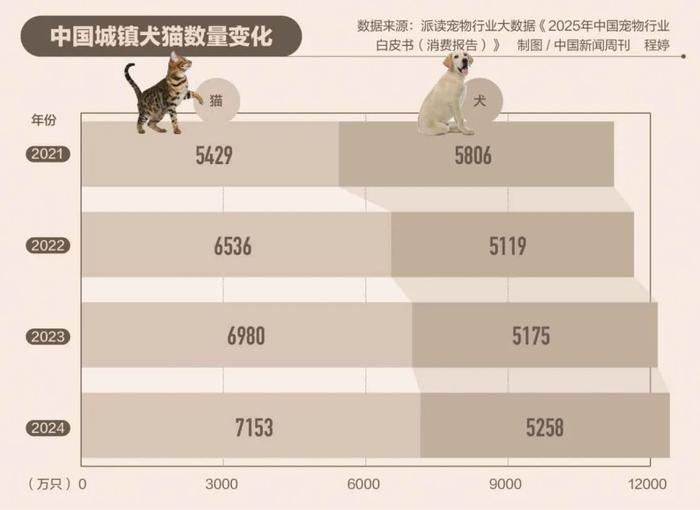 为何你买的宠物活不过7天?