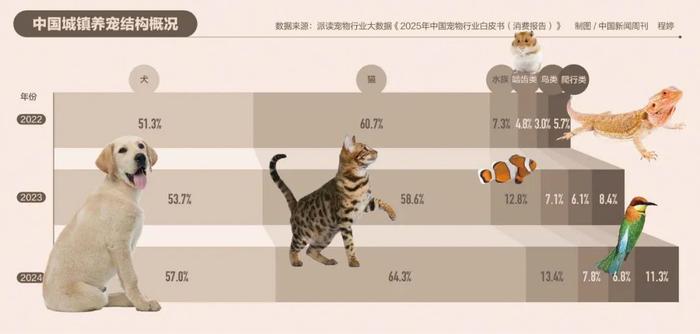 为何你买的宠物活不过7天?