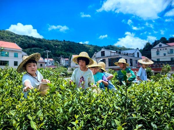 镜头丨锦绣山河 美好旅程