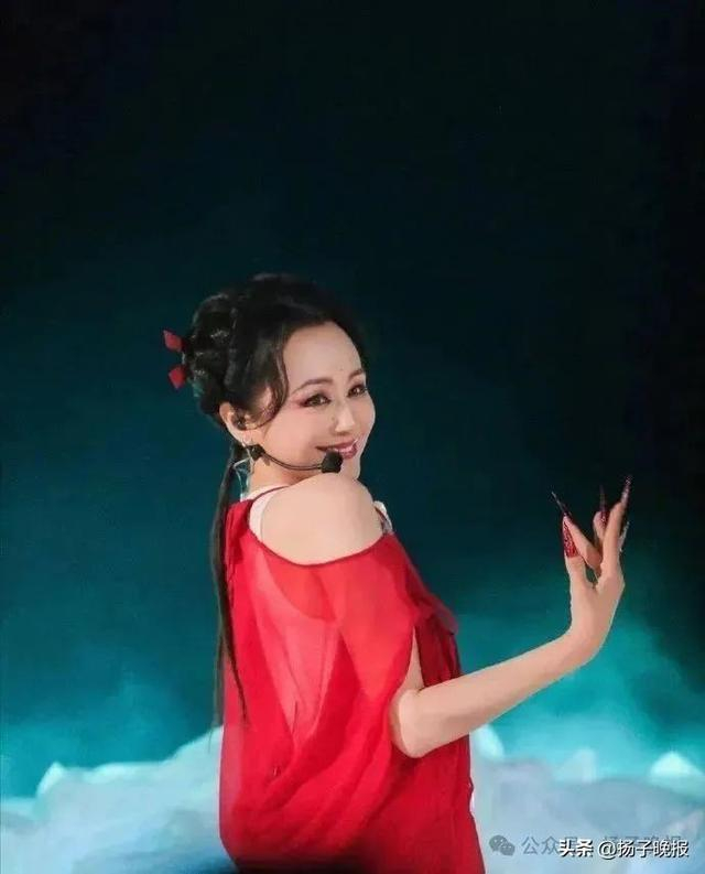 曹颖简历,曹颖简历个人资料简介