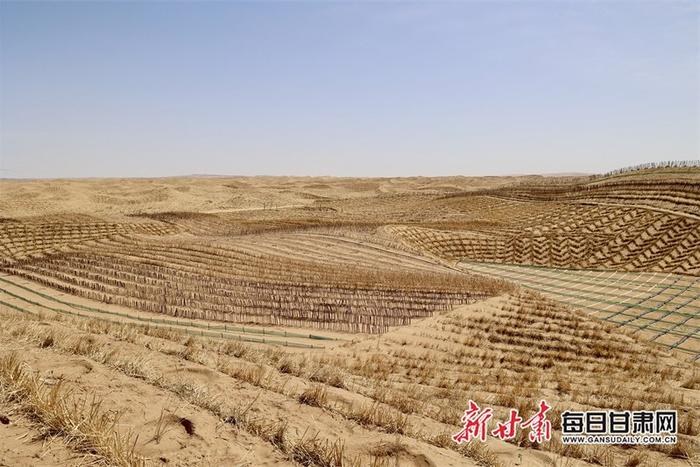 民勤县采用治沙新技术。