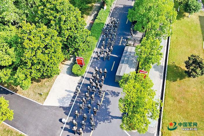 该旅战备拉动训练现场。杨振鸣 摄