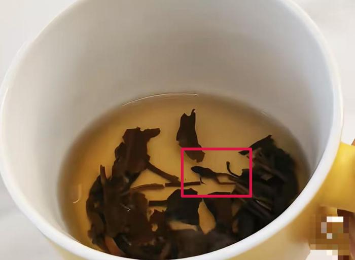 奈雪的茶被曝泡出青蛙尸体,最新情况