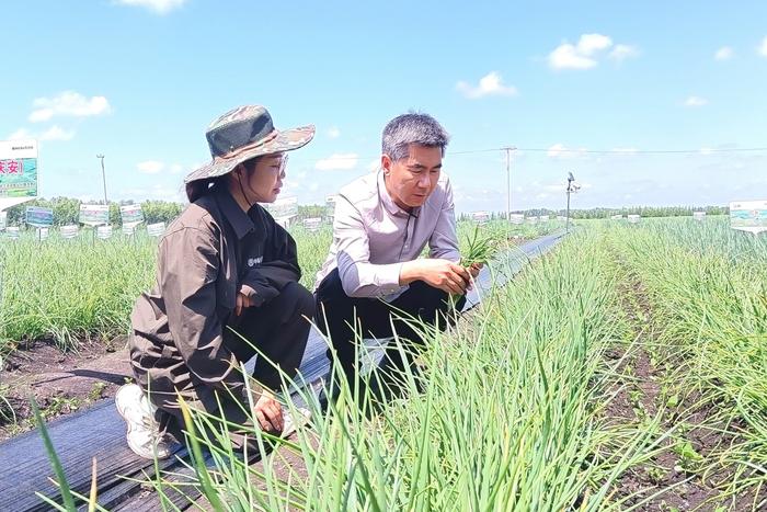 专家向种植户讲解毛葱病虫害知识(央广网记者陈显春 摄)