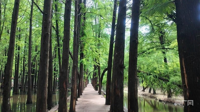 w700d1q75cms.jpg?by=cms_fixed_width