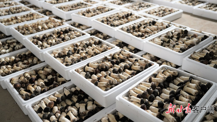 w700d1q75cms.jpg?by=cms_fixed_width