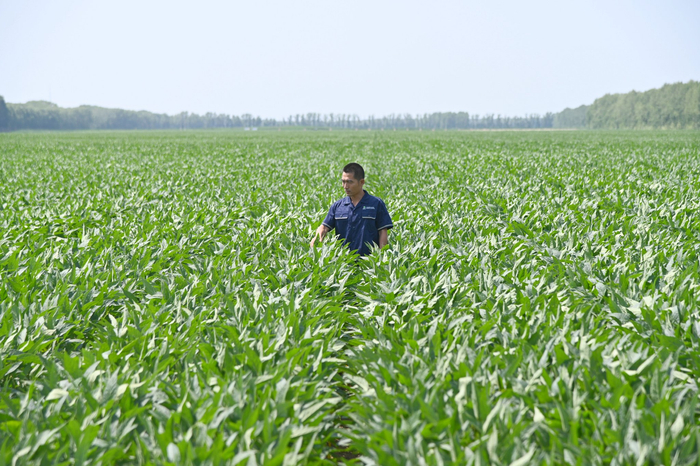 w700d1q75cms.jpg?by=cms_fixed_width