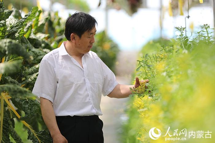 技术人员观察作物长势。人民网记者 李睿摄