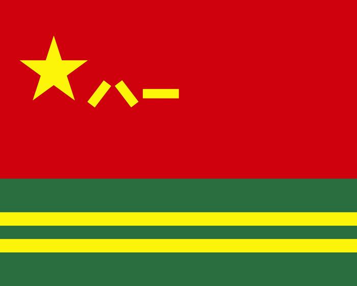兵种军旗发布！组图来了