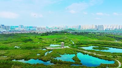 位于兰州新区的秦王川国家湿地公园。资料图片