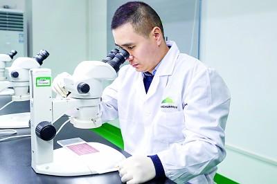 在兰州新区甘肃金川兰新电子科技有限公司,技术人员通过显微镜检查产品。新华社发