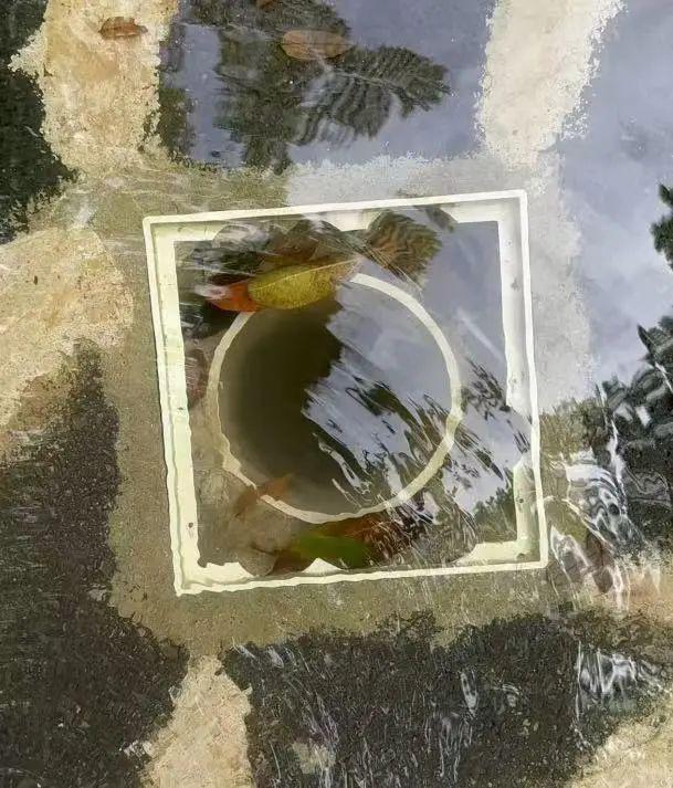 夺命14分钟!6岁女童死于酒店戏水池
