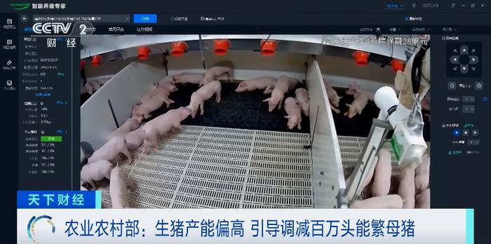 猪价同比大降!猪企要给“二师兄”减肥了