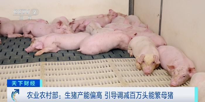 猪价同比大降!猪企要给“二师兄”减肥了