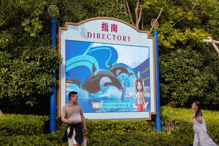 海洋文化元宇宙与上海海昌海洋公园联动案例