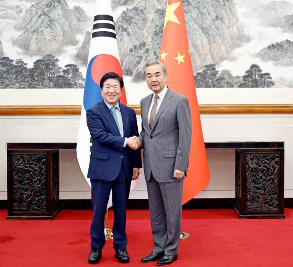 王毅会见韩国总统特使朴炳锡