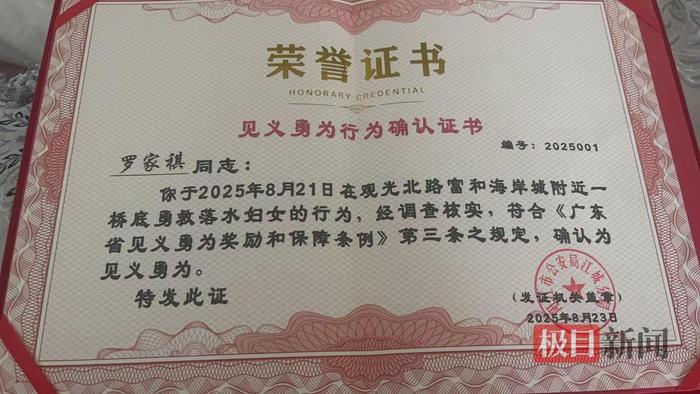 17岁高中生勇救六旬婆婆时不幸溺亡,已被认定为见义勇为,母亲:儿子不会游泳,本能反应去救人