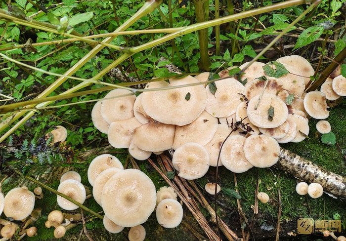 w700d1q75cms.jpg?by=cms_fixed_width