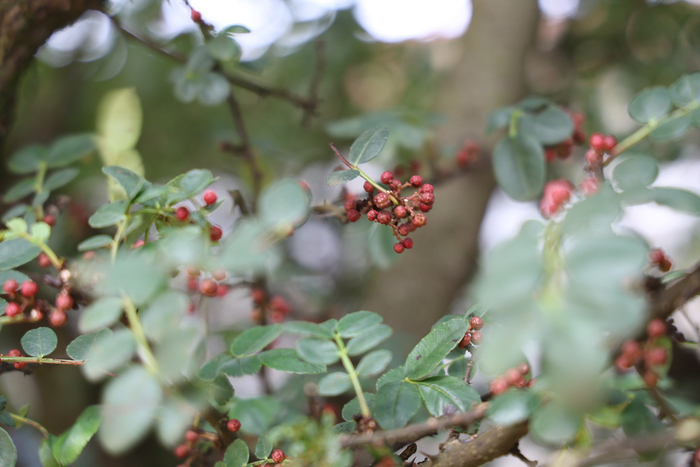 w700d1q75cms.jpg?by=cms_fixed_width