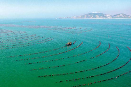 深海下,万亿级“赌局”