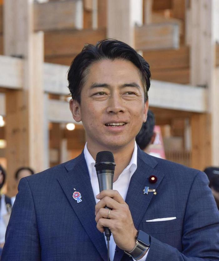 “前首相之子”PK“女版安倍”，石破茂辞职后，谁将接手日本政坛“烂摊子”？