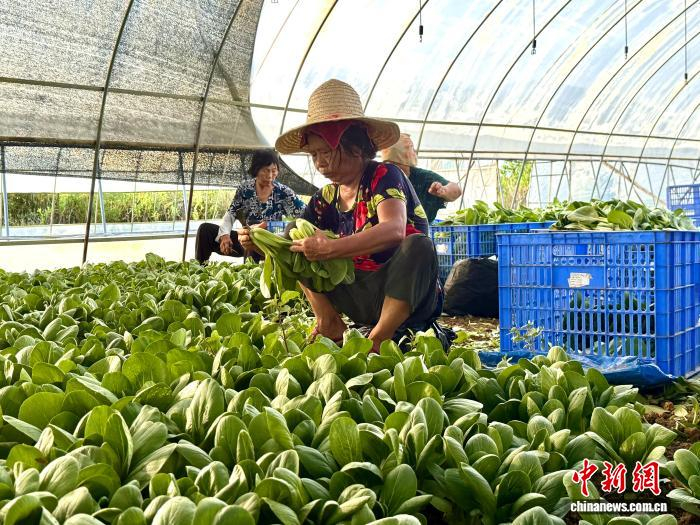 w700d1q75cms.jpg?by=cms_fixed_width