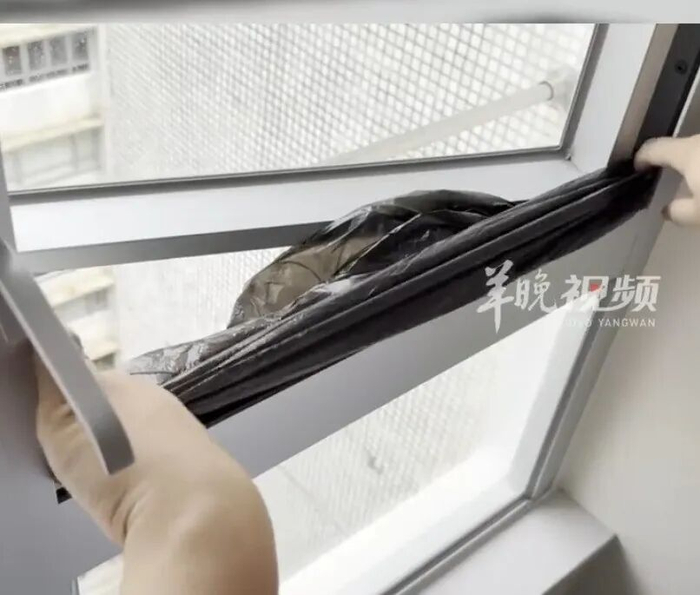 红色预警！海水倒灌！多地宣布“五停”