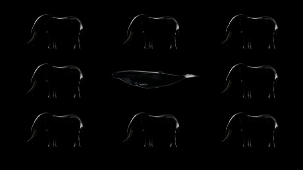 如何让自己更有线条感 w700d1q75cms.jpg?by=cms_fixed_width