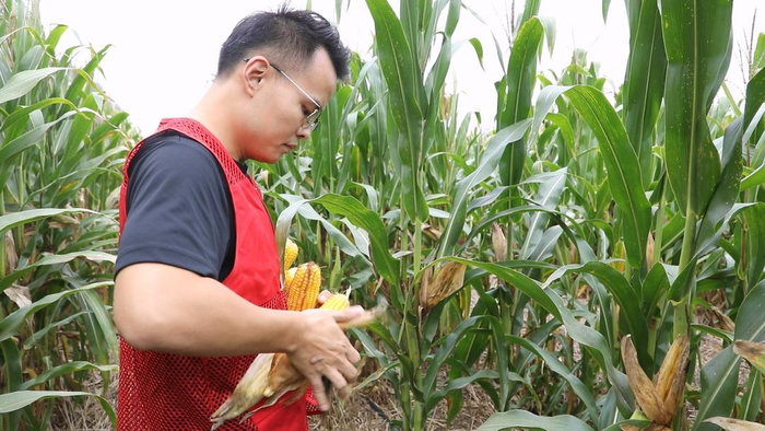 w700d1q75cms.jpg?by=cms_fixed_width