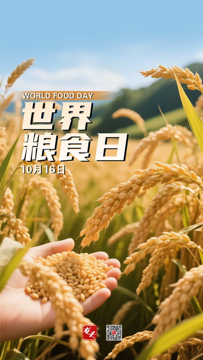 世界主要粮食有哪些 w700d1q75cms.jpg?by=cms_fixed_width