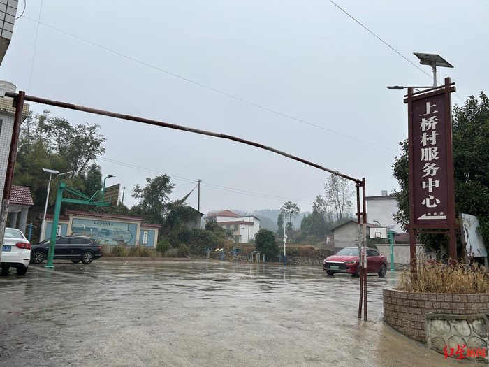 “网红被蛇咬放弃救治后失联”疑云:已被公安机关带走配合调查,有村民称他是“怪才”,是否系炒作有待结论|求真