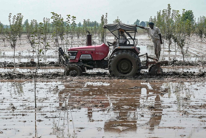 财经观察：农民困境削弱莫迪对美贸易谈判筹码