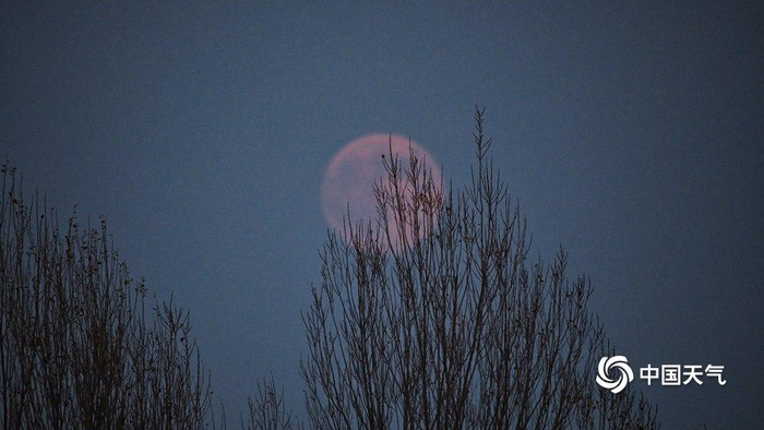 抬头看！第一波“超级月亮”美图来了