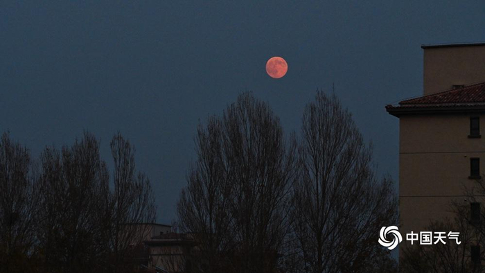 抬头看！第一波“超级月亮”美图来了