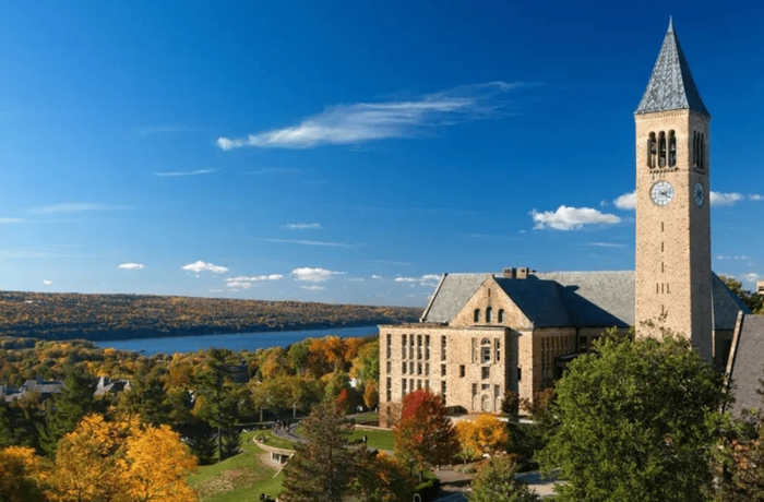 康奈尔大学与美政府达成和解协议 将恢复获得联邦经费