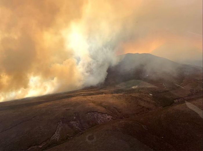 林火肆虐 新西兰国家公园过火面积达2800公顷