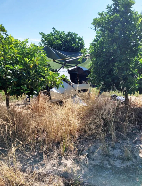 43岁女星,坠机身亡