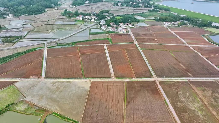 农业农村部新设机构，有何深意？