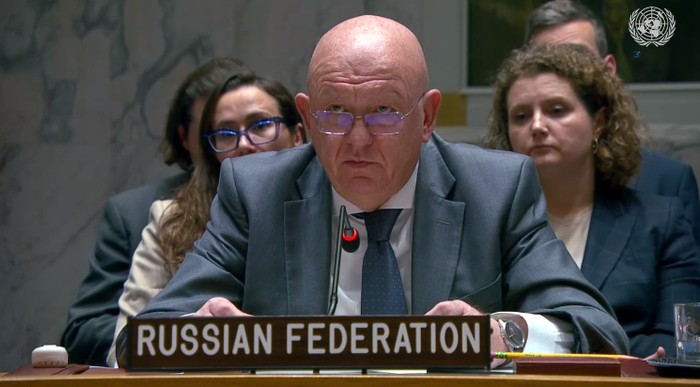 安理会通过美国提出的涉加沙决议,中俄代表发声