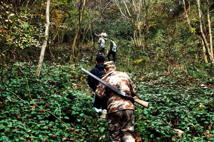 无人机，变凶器？